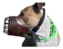 Bosal
